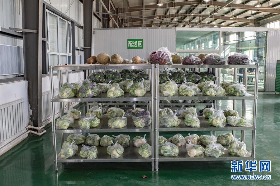 (聚焦疫情防控·圖文互動(dòng))(1)把握先機(jī) 應(yīng)對(duì)有序——新疆疏附縣全力阻斷新冠肺炎病毒傳播