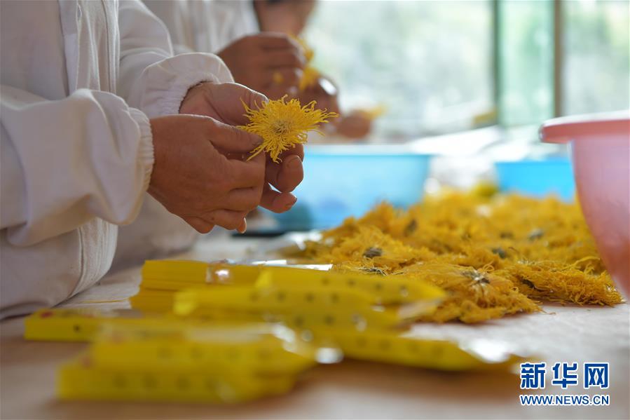 (新華全媒頭條·圖文互動(dòng))(5)幕阜山“搬窮”記