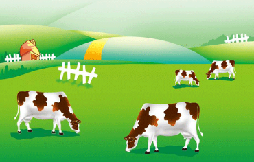 醬紫的內(nèi)蒙古，約嗎