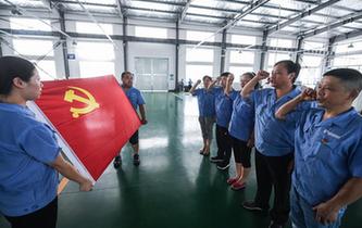 浙江臨安:基層黨建助力鄉(xiāng)村建設(shè)