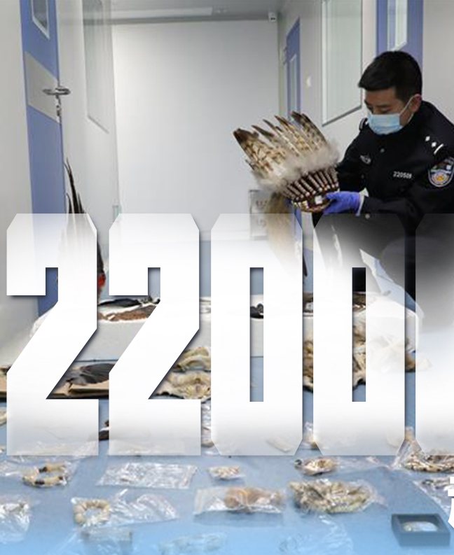 抗疫有&ldquo;法&rdquo;，就是這么給力！