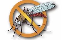 夏季，常見蚊蟲如何應(yīng)對(duì)