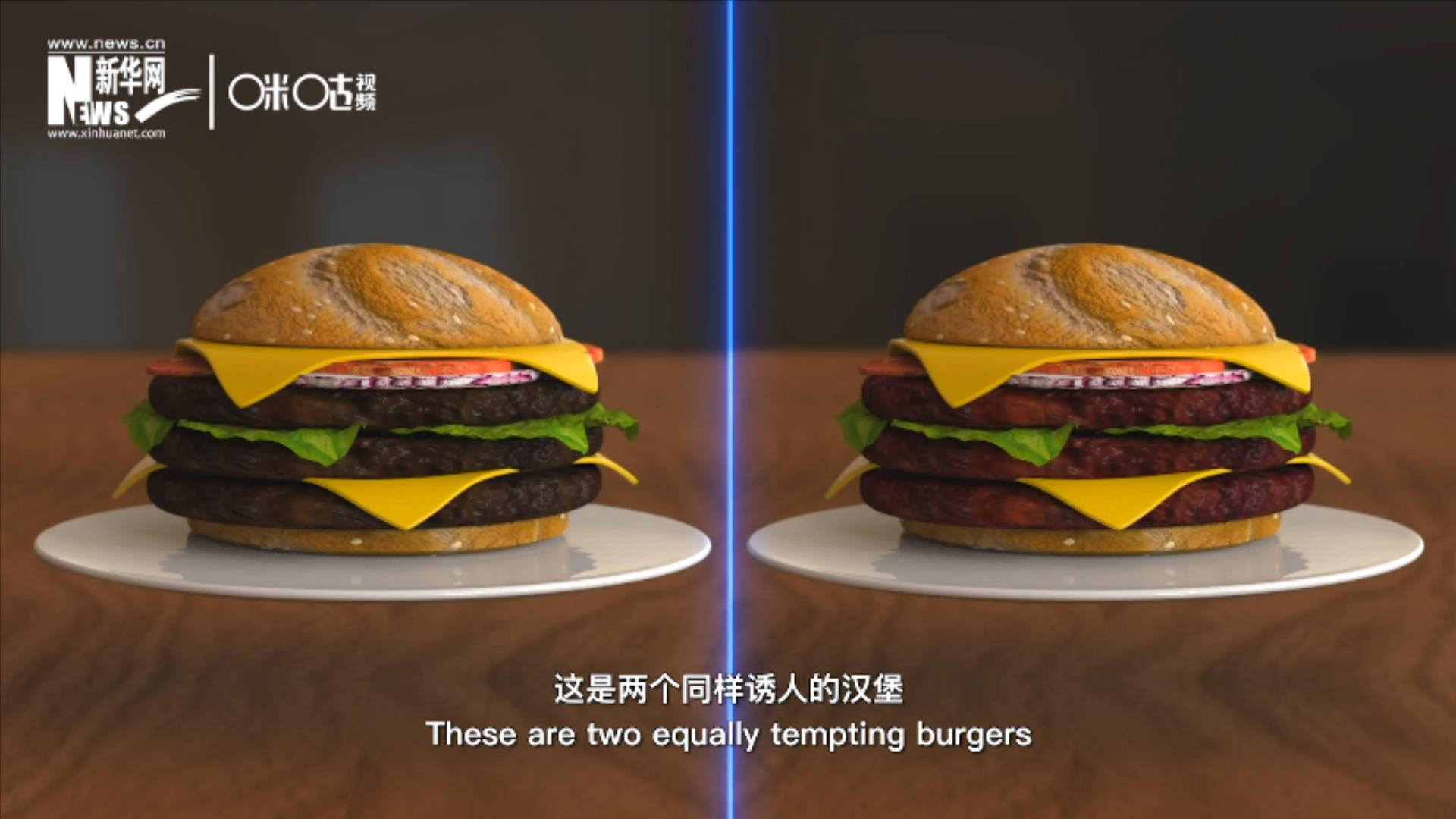 人造肉漢堡能在生產(chǎn)過程中節(jié)約水、土地、排放以及能量