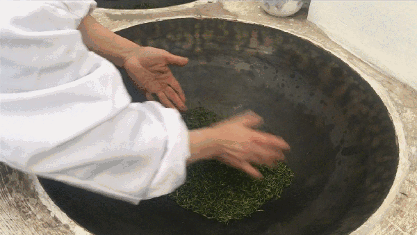 申遺，把雨花茶手藝傳承下去