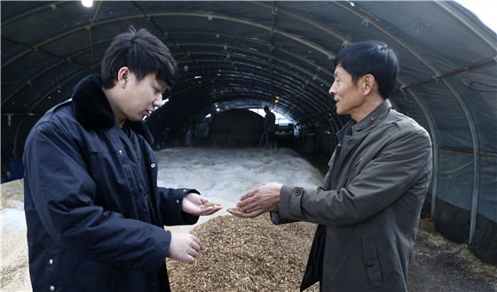 &ldquo;80后&rdquo;村官扎根一線 發(fā)展產業(yè)促鄉(xiāng)村振興