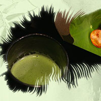 熱茶與伏天的關(guān)系，只有清涼