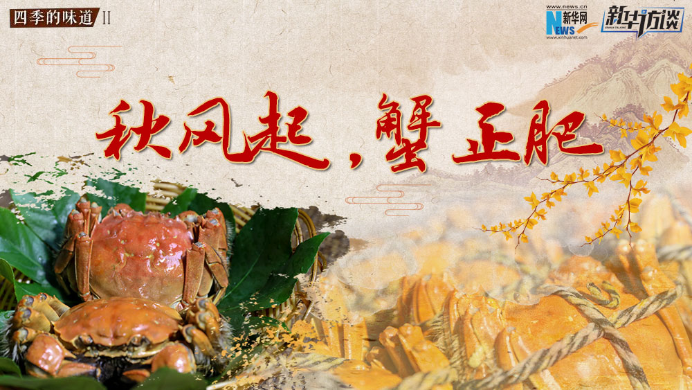 秋風(fēng)起，蟹正肥