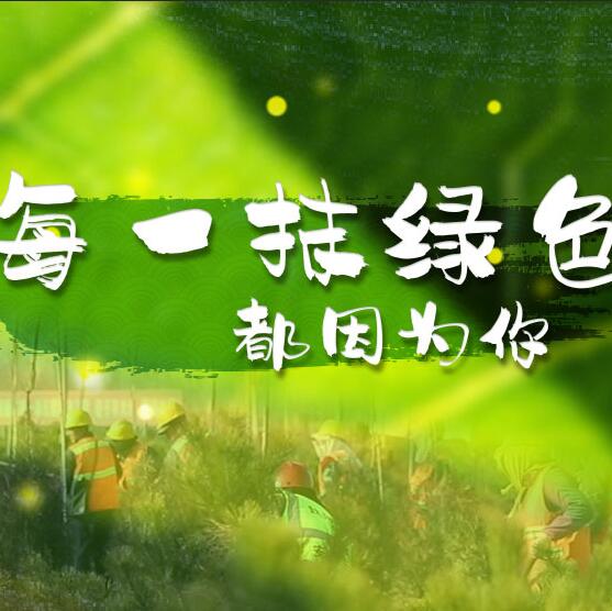 千年秀林，每一抹綠色都因?yàn)槟? /></a>       
<div   id=