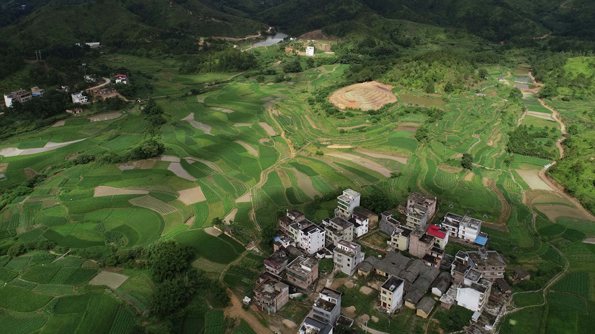 新生活、新盼頭——脫貧攻堅(jiān)新形勢(shì)速覽