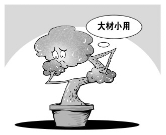 自認&ldquo;大材小用&rdquo;，不如腳踏實地