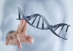 小細胞肺癌需要做基因檢測嗎？