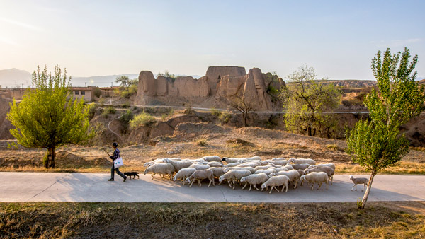 追夢足跡｜上馬圈：鐵馬冰河，黃土斑駁