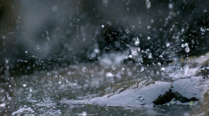 城市內(nèi)澇暴雨避險指南來了！