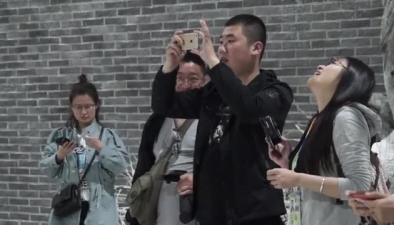 北京4月飄雪，鵝毛還是狂風(fēng)任你呼喚