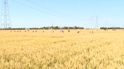 陜西：智能平臺助力夏收 實(shí)現(xiàn)農(nóng)機(jī)資源共享