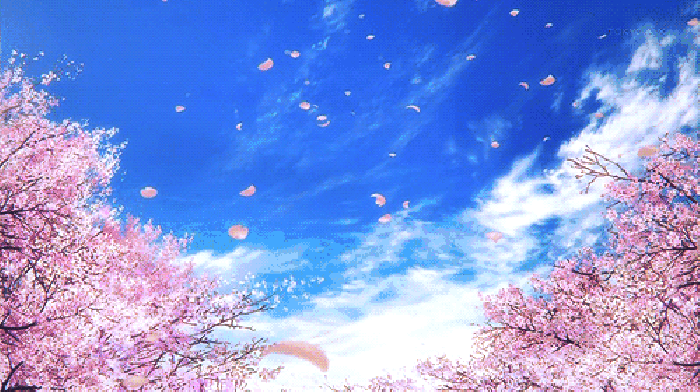 寧波這個地方早櫻花開成海，滿足你對春天的所有想象