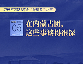 習(xí)近平2021兩會&ldquo;微鏡頭&rdquo;之三 3月5日 在內(nèi)蒙古團，這些事談得很深