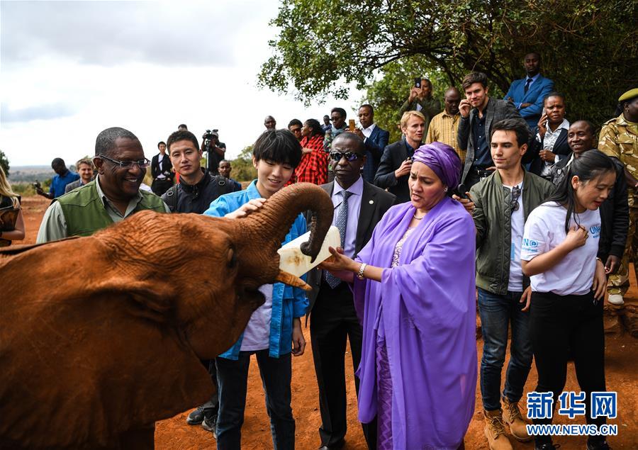 （國際&middot;圖文互動）（1）專訪：環(huán)保要以身作則 從身邊小事做起&mdash;&mdash;訪聯(lián)合國環(huán)境署親善大使王俊凱