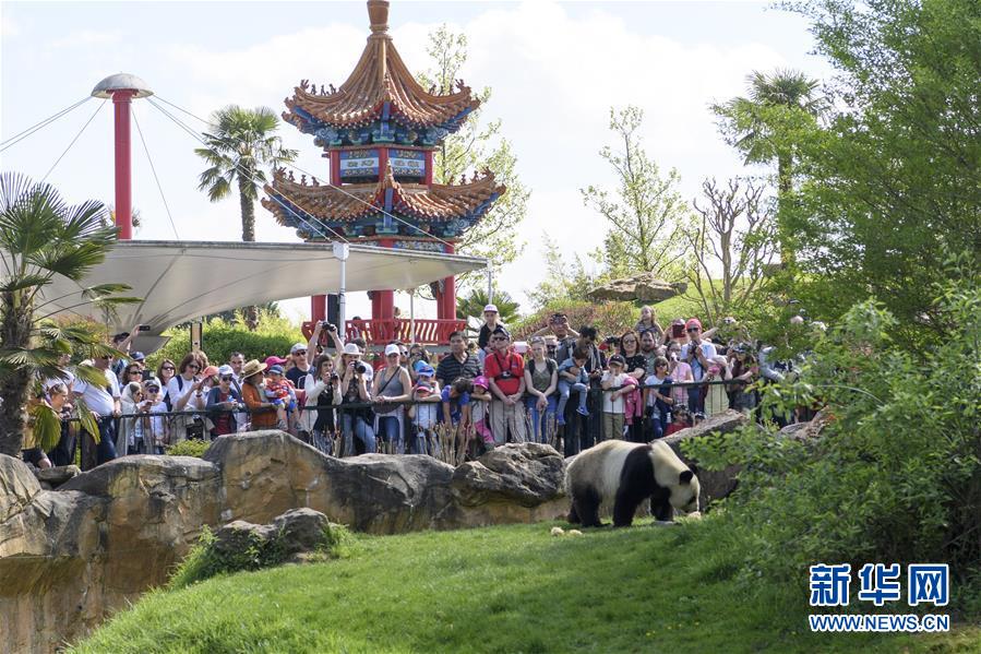 (習(xí)近平出訪(fǎng)配合稿·圖文互動(dòng))(2)綜述:互利共贏 敢為人先——中法關(guān)系行穩(wěn)致遠(yuǎn)