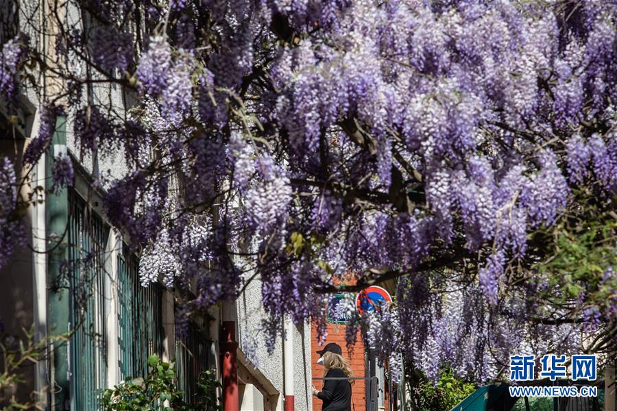 (國(guó)際疫情)(2)法國(guó)新冠患者住院人數(shù)首次出現(xiàn)下降