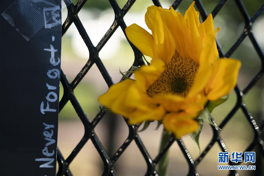 (國(guó)際)(8)美國(guó)華盛頓:抗議警察暴力執(zhí)法活動(dòng)持續(xù)
