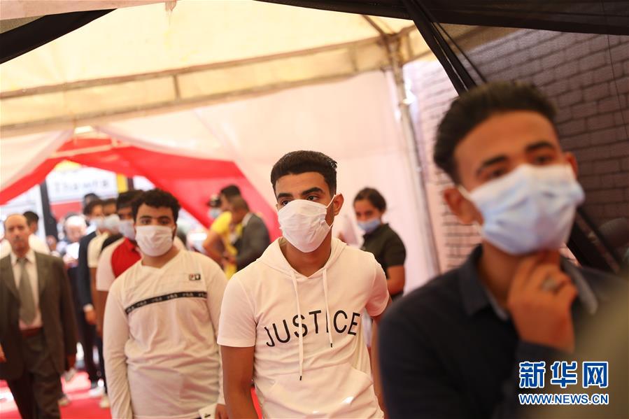 (國(guó)際)(1)埃及舉行議會(huì)上院選舉