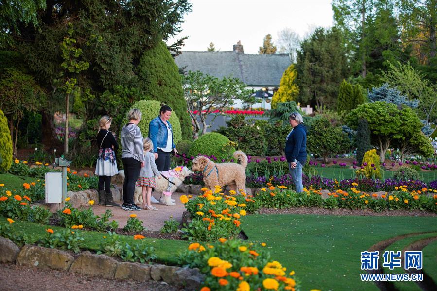 （XHDW&middot;圖文互動(dòng)）（3）通訊：&ldquo;無處不在的鮮花為我們帶來歡樂和希望&rdquo;&mdash;&mdash;&ldquo;小人國&rdquo;里的堪培拉花展