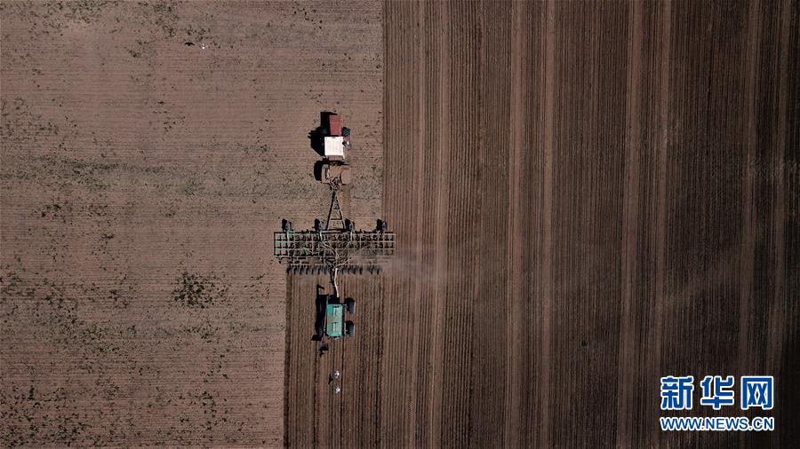 (國際)(3)世界糧食日:維護全球糧食安全 世界各國休戚與共