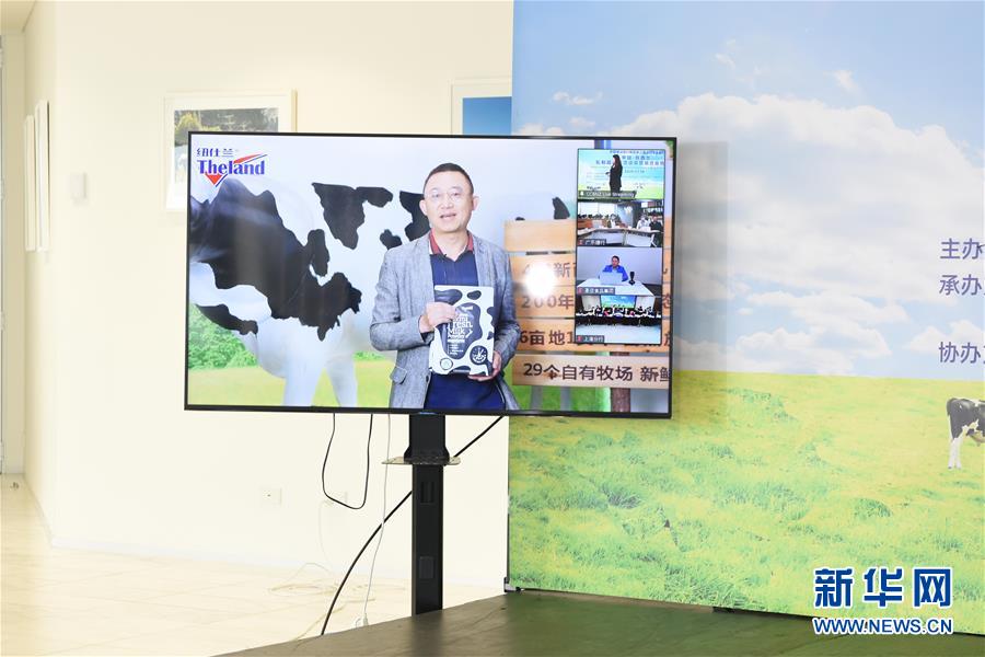 (國(guó)際·圖文互動(dòng))(2)中國(guó)-新西蘭乳制品商貿(mào)洽談會(huì)簽約金額超12億元