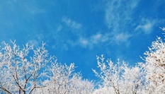 湖北?？蹈呱届F凇美如畫