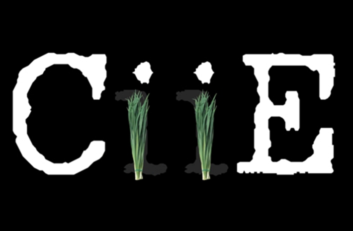 新華社創(chuàng)意動感視頻：考眼力！數(shù)數(shù)多少樣進(jìn)口貨