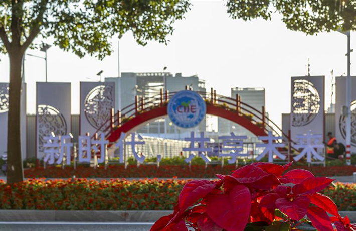 進(jìn)博之光輝耀世界——寫在第二屆中國(guó)國(guó)際進(jìn)口博覽會(huì)開(kāi)幕之際