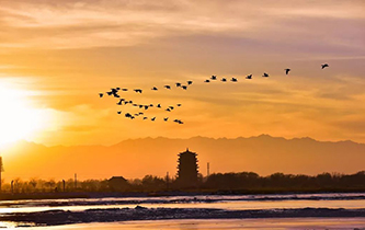 你想看的風(fēng)景，這里都有